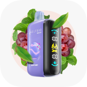 ELF BAR RAYA D3 25 000 Grape Mint (Виноград М'ята)